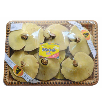 Nấm linh chi Hàn Quốc đóng khay 1kg